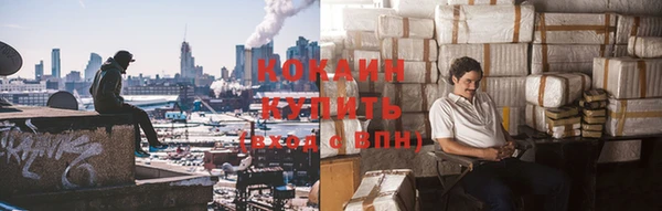 стафф Богданович