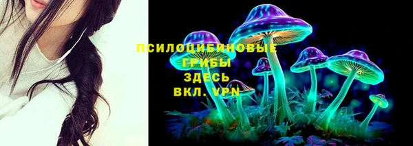 марки lsd Богородицк
