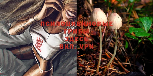 стафф Богданович