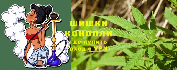 стафф Богданович