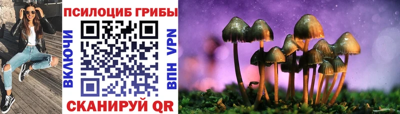 Псилоцибиновые грибы MAGIC MUSHROOMS  Архангельск 