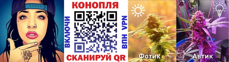 Конопля конопля  купить закладку  Архангельск 